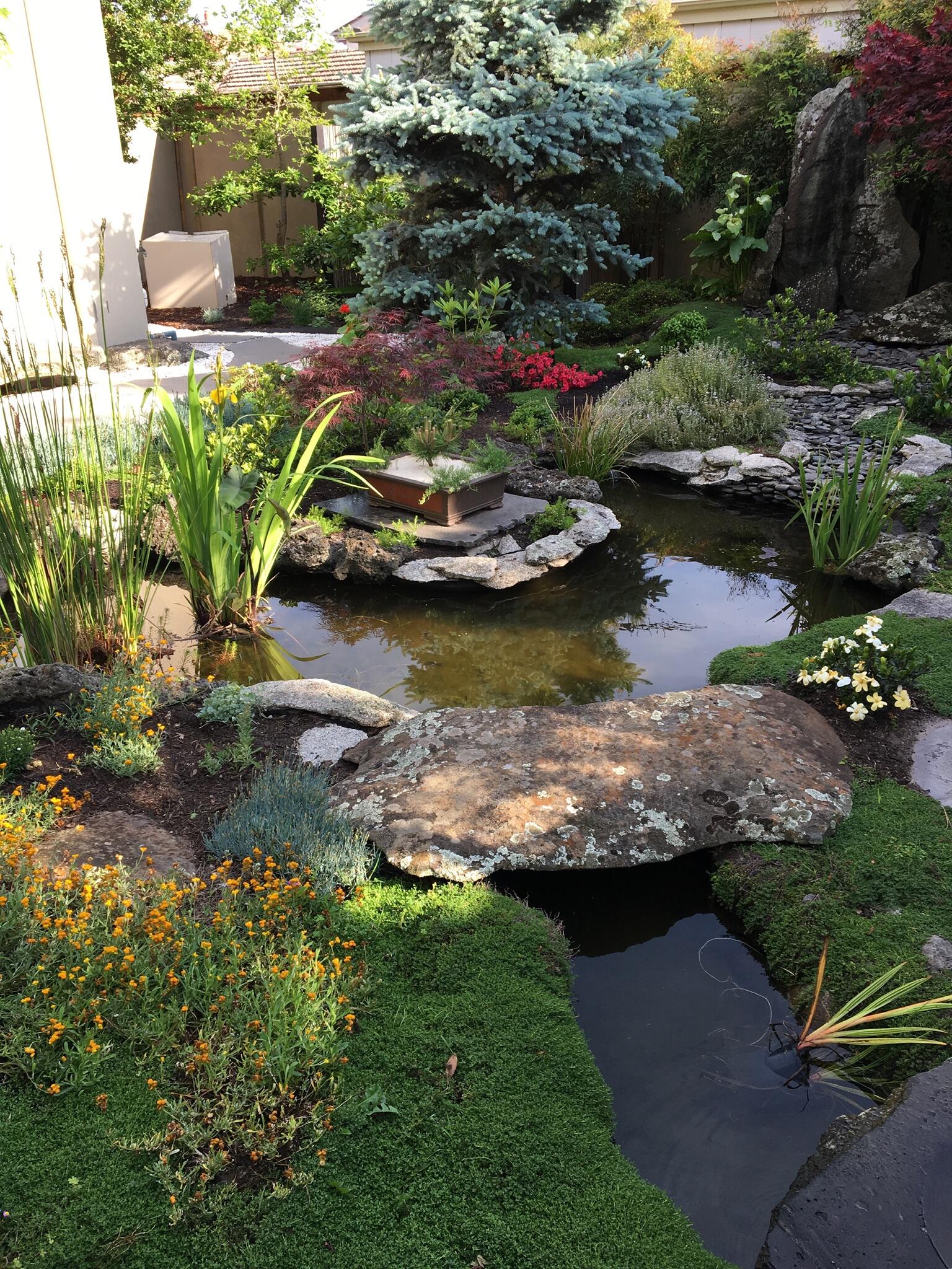 Garden maintained by All Seasons Landscaping