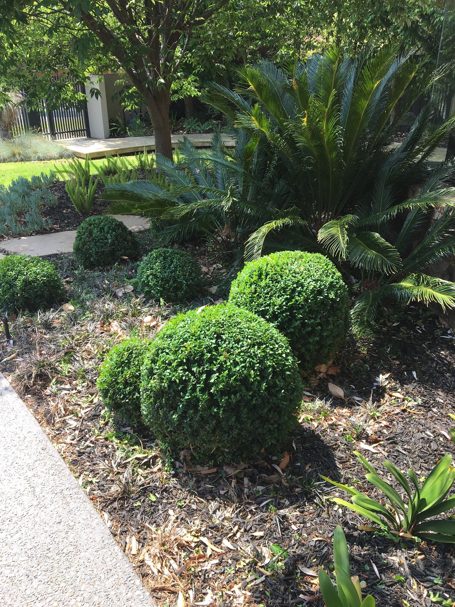 Garden transformation by All Seasons