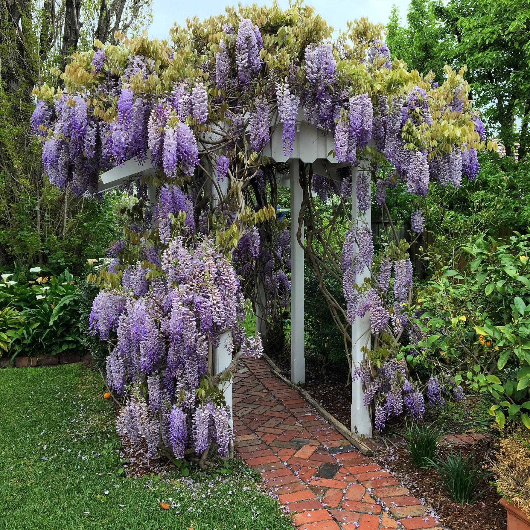 Completed landscaping job